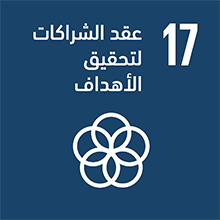 الهدف 17: عقد الشراكات لتحقيق الأهداف